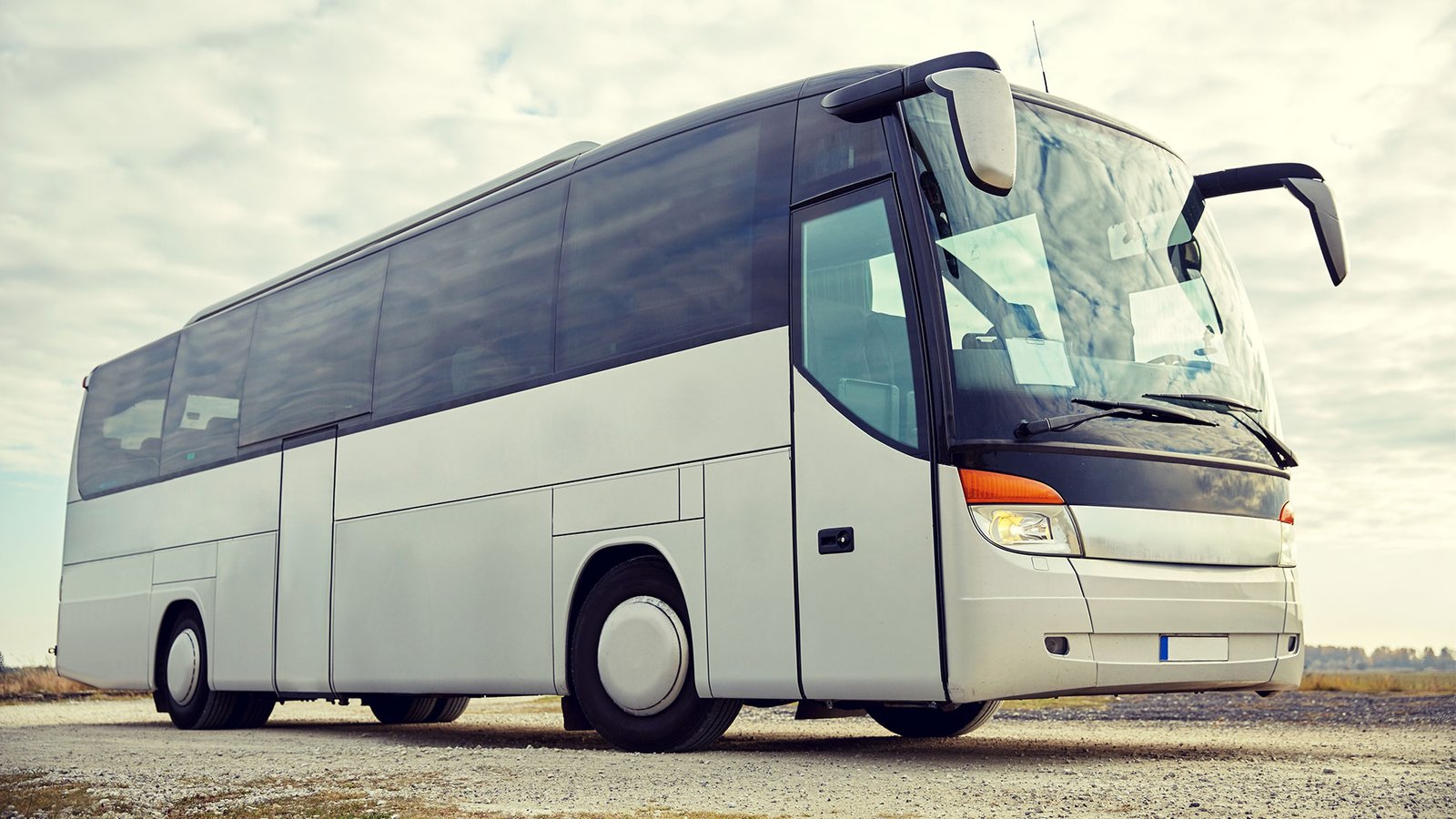 bus